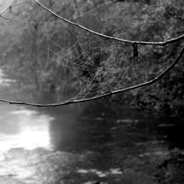Friday 24th October 2025 @ 19.30 Magic and Mystery  ONLINE