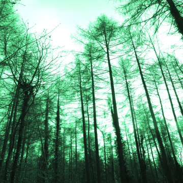 23rd October 2026  at 19.30    Ensemble - Tales of Mystery  ONLINE